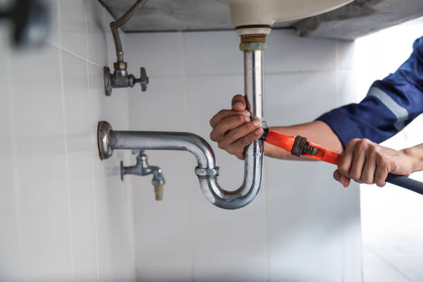 Best Leak Detection Services  in Bono, AR